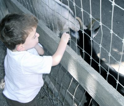 fun at avila valley barn