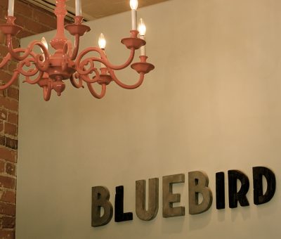 bluebird