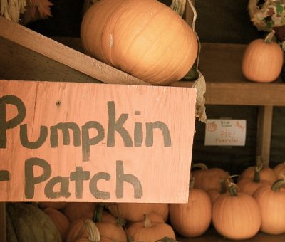 Pumpkin Patch