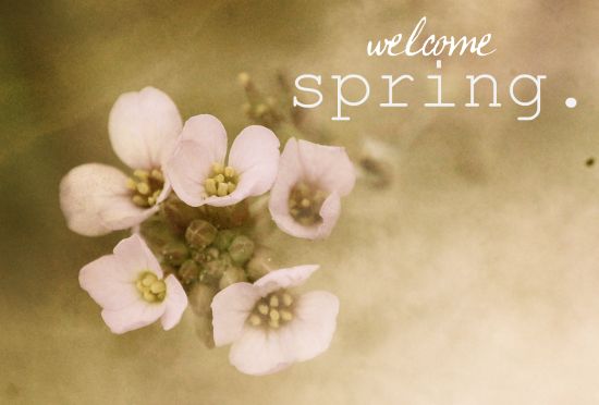 welcome-spring