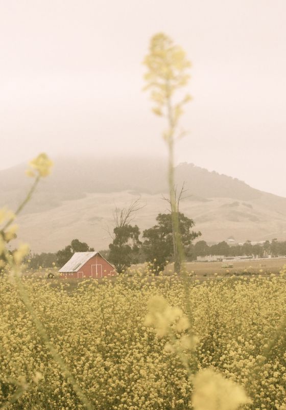 little-red-barn