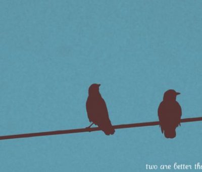 Two Birds