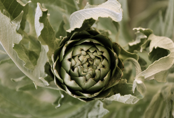 artichoke-custom-hand-stamped-jewelry