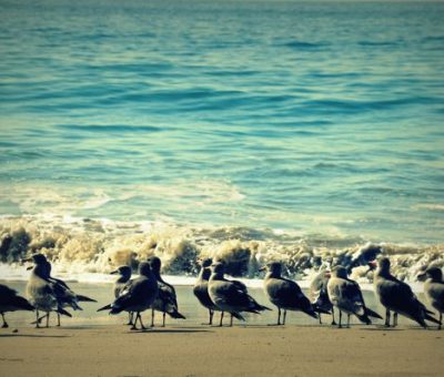 the ocean in autumn.