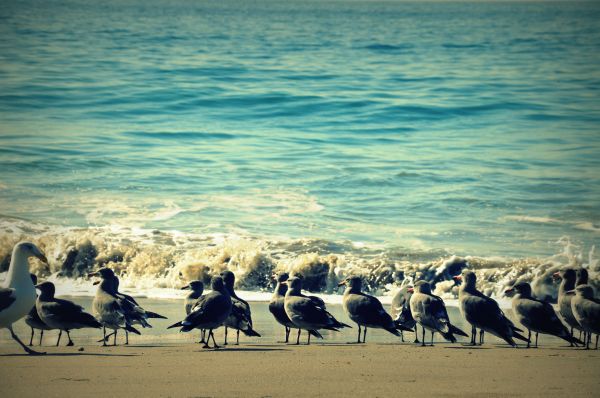 the ocean in autumn.