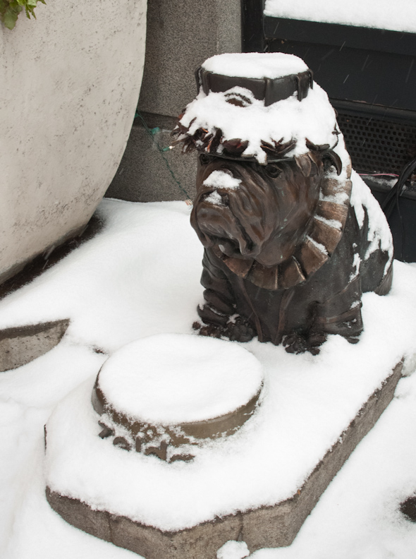 messages in the snow–keep Portland weird!