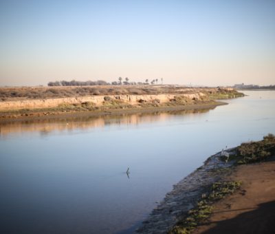 bolsa chica wetlands