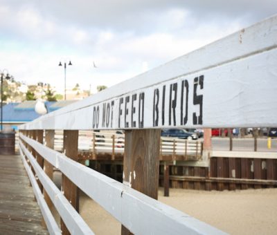 hello silliness, hello pismo beach