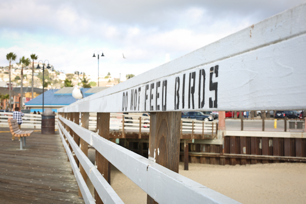 hello silliness, hello pismo beach