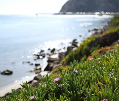 gorgeous day in morro bay