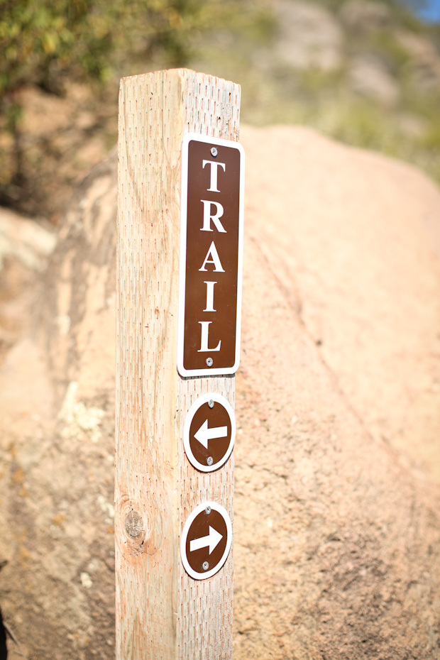 hiking bishop's peak, san luis obispo