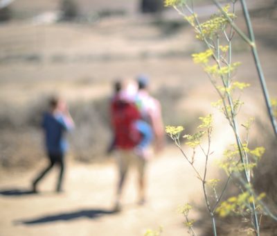 hiking madonna mountain