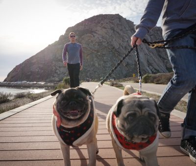 hello walking in morro bay