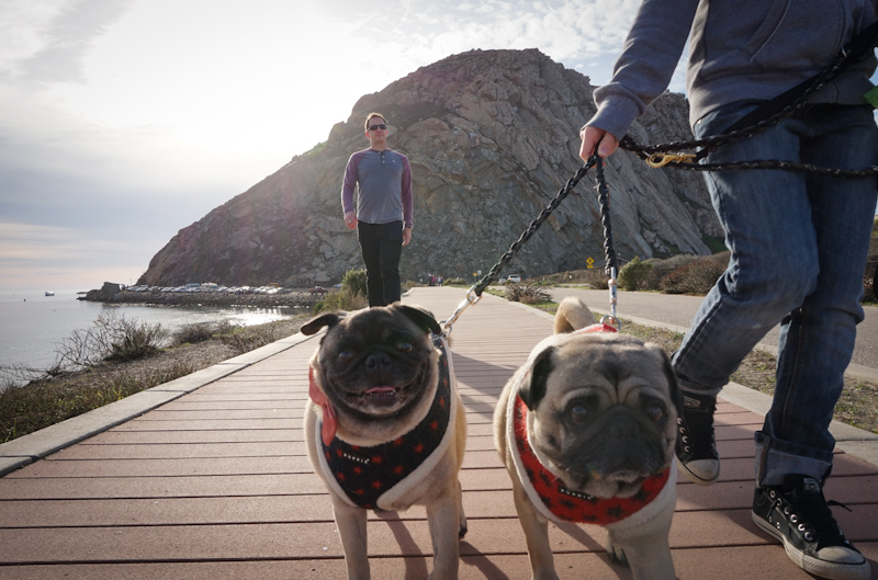 hello walking in morro bay