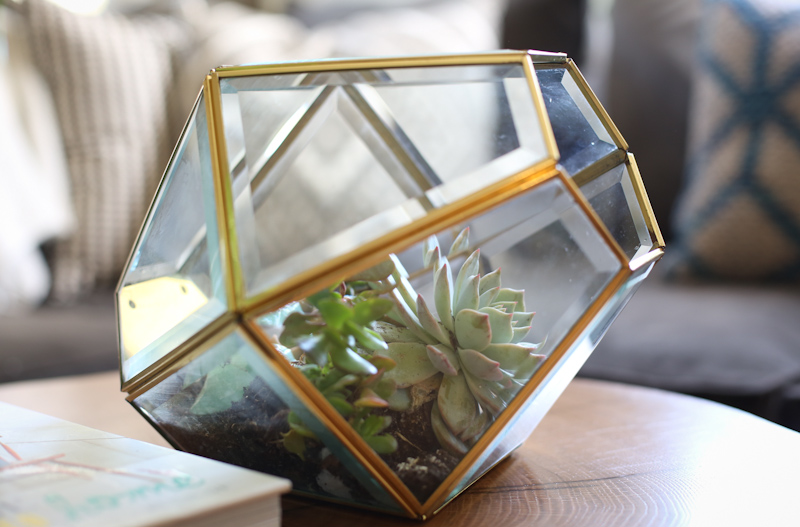 DIY lamp to terrarium lisa leonard-03