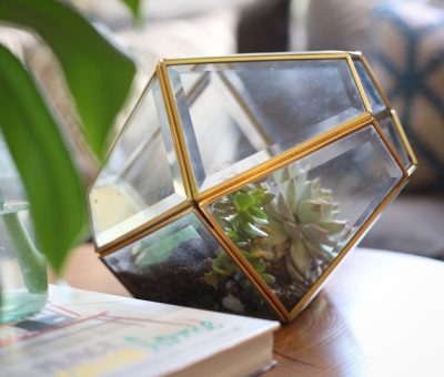 DIY lamp to terrarium