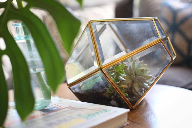 DIY lamp to terrarium