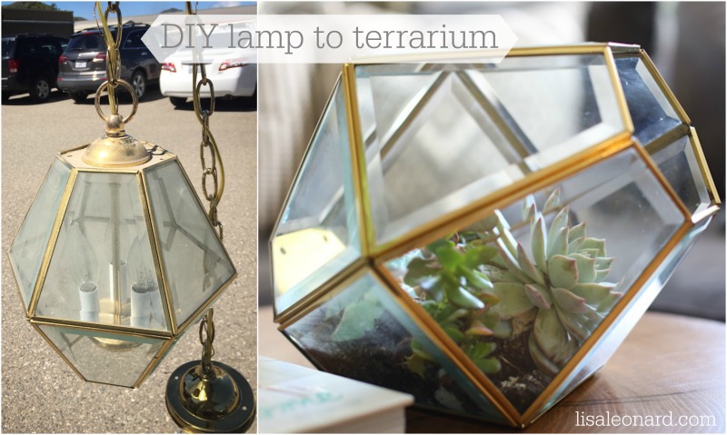 DIY lamp to terrarium2