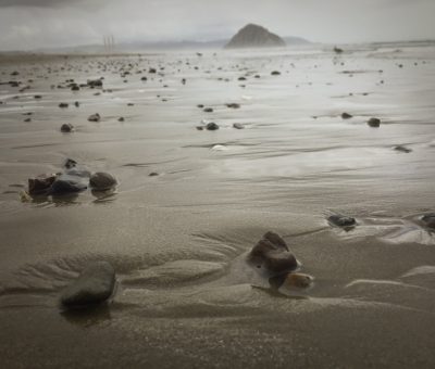 hello sand dollar beach