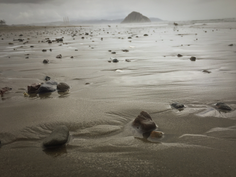 hello sand dollar beach