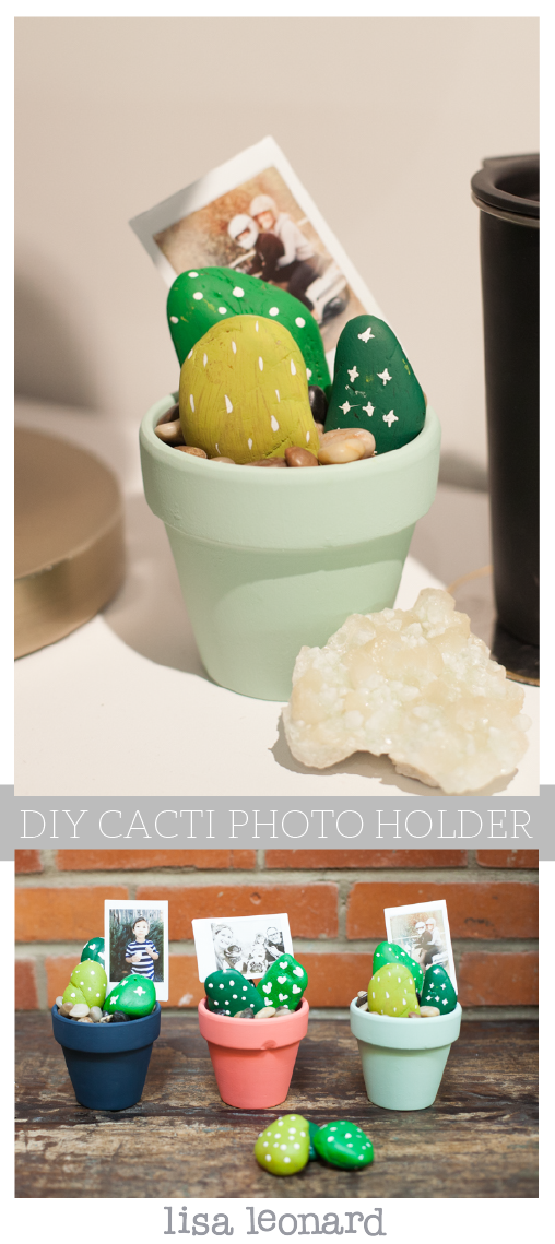 cacti_-01