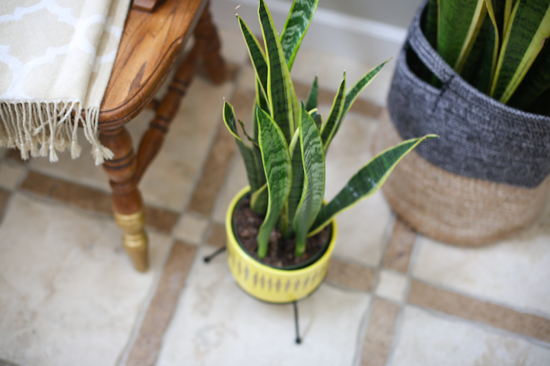 diy-mid-century-planter-lisa-leonard-01