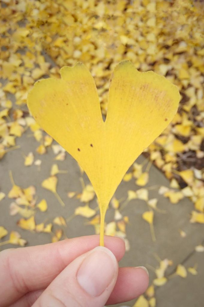 Lisa holding leaf